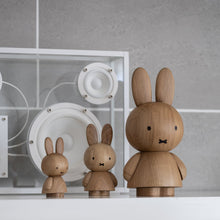 画像をギャラリービューアに読み込む, BOYHOOD MIFFY MINI