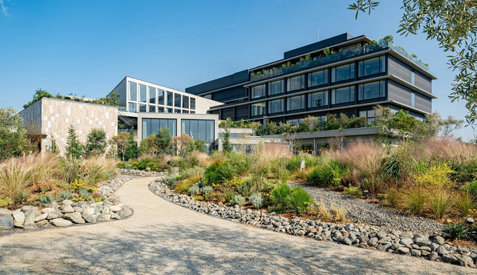 GREENITY IWATA meets GENEVA