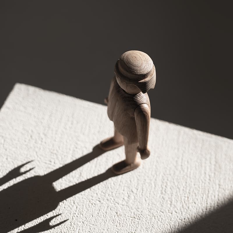BOYHOOD PLAYMOBIL MAN