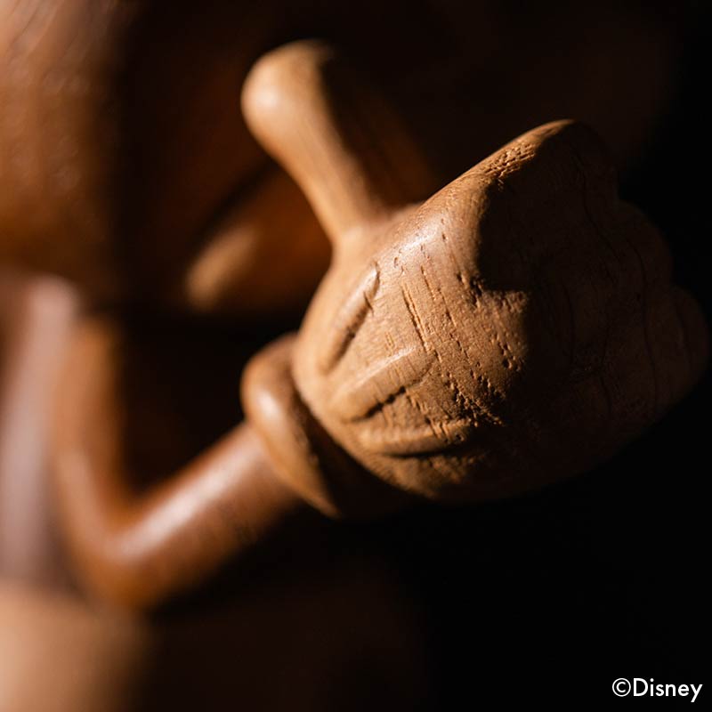 BOYHOOD Mickey Mouse / Small