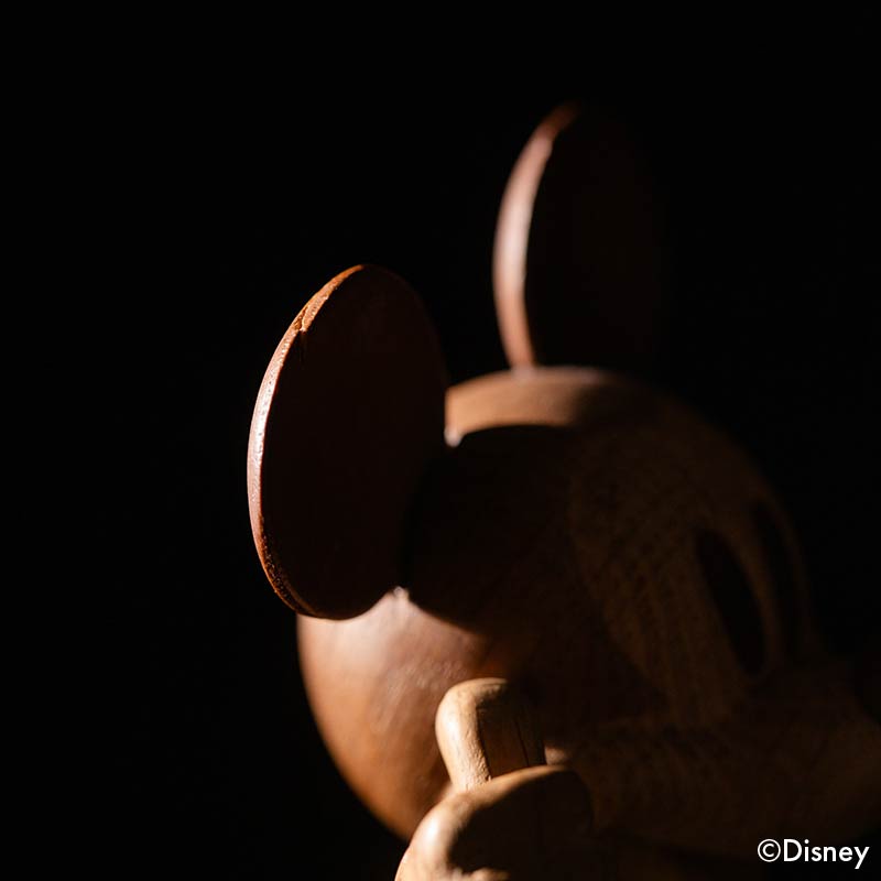 BOYHOOD Mickey Mouse / Small
