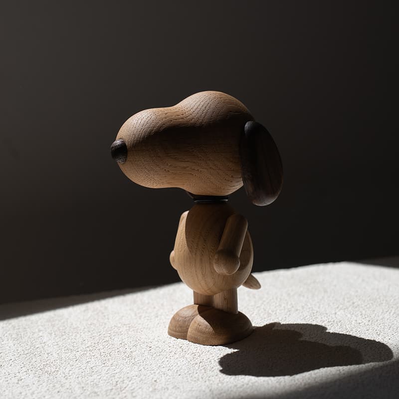 BOYHOOD SNOOPY MINI